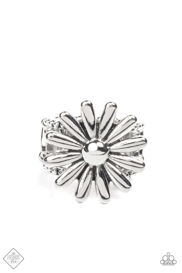 GROWING Steady - Silver Ring-Paparazzi Accessories